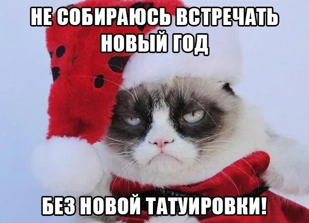 Он и не нов. Новогодние картинки с кем то. этот новый год. не хочу праздновать новый год. с кем встретить новый год.