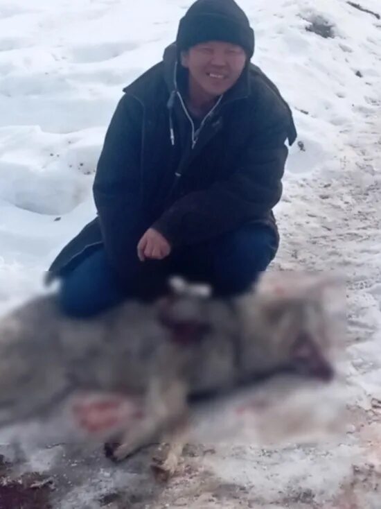 Праздник наадам в туве. Тыва кымчы. Тыва 2016. Тыва 2016. Как называется конкурс тувинских костюмах.