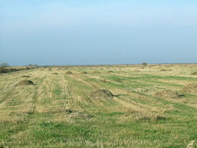 Погода поповка приморский край хорольский. Село Прилуки Приморский край Хорольский район. Село Поповка Хорольский район. Сиваковка Хорольский район село. Село Сиваковка Хорольский район Приморский край.