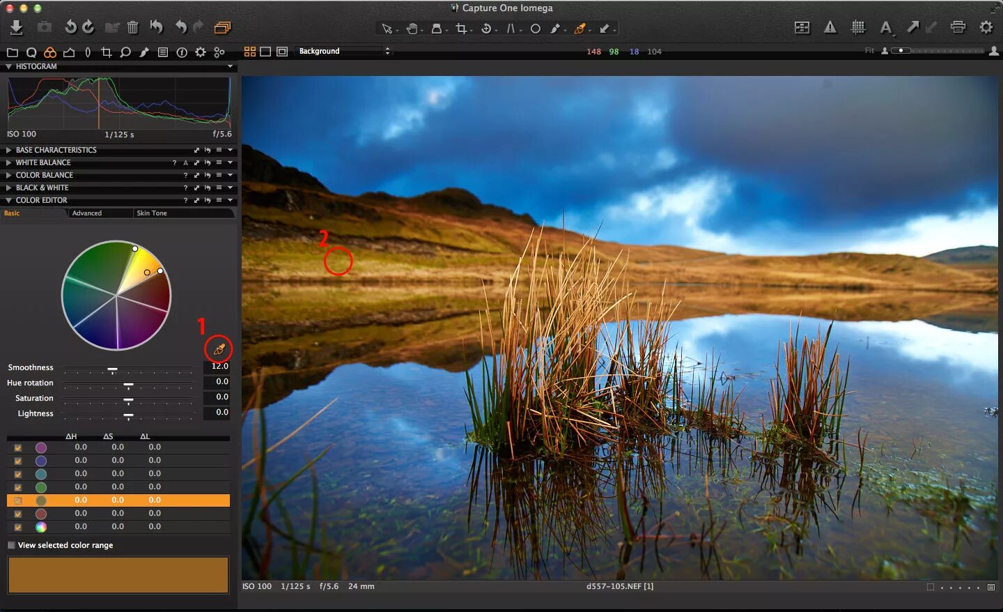 Capture editor. Capture one 2025. фотошоп capture. редактор capture. capture one 2025.