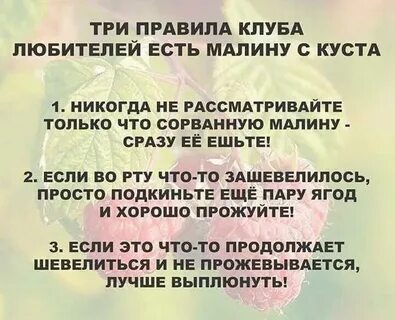 Есть три правила