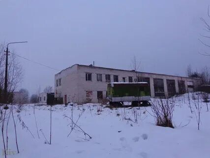 Войбокало рыбацкое