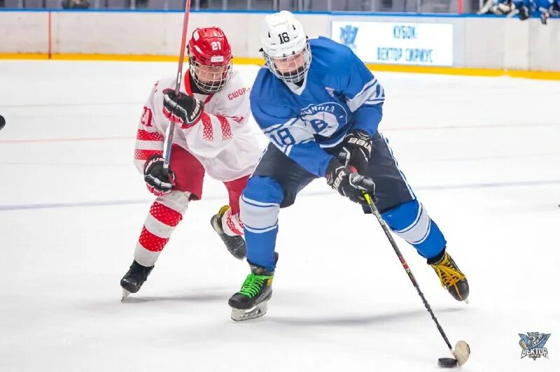 вратарь хоккей. сириус хоккей. сириус сочи хоккей 2007гр сибирь. хоккей сириус апрель 2022 год. кубок сириуса по хоккею 2022.