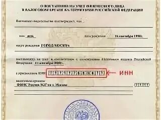 Как узнать свой номер налогоплательщика. Как узнать свой номер налогоплательщика