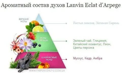 Нота сердца
