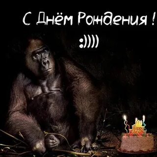 Прикольные однокласснице