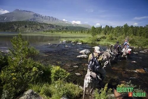 Ырбан. Тоджинский район Республики Тыва. Ырбан – село, Тува. Чазылары Тоджинского района. Горы Тоджинского района.