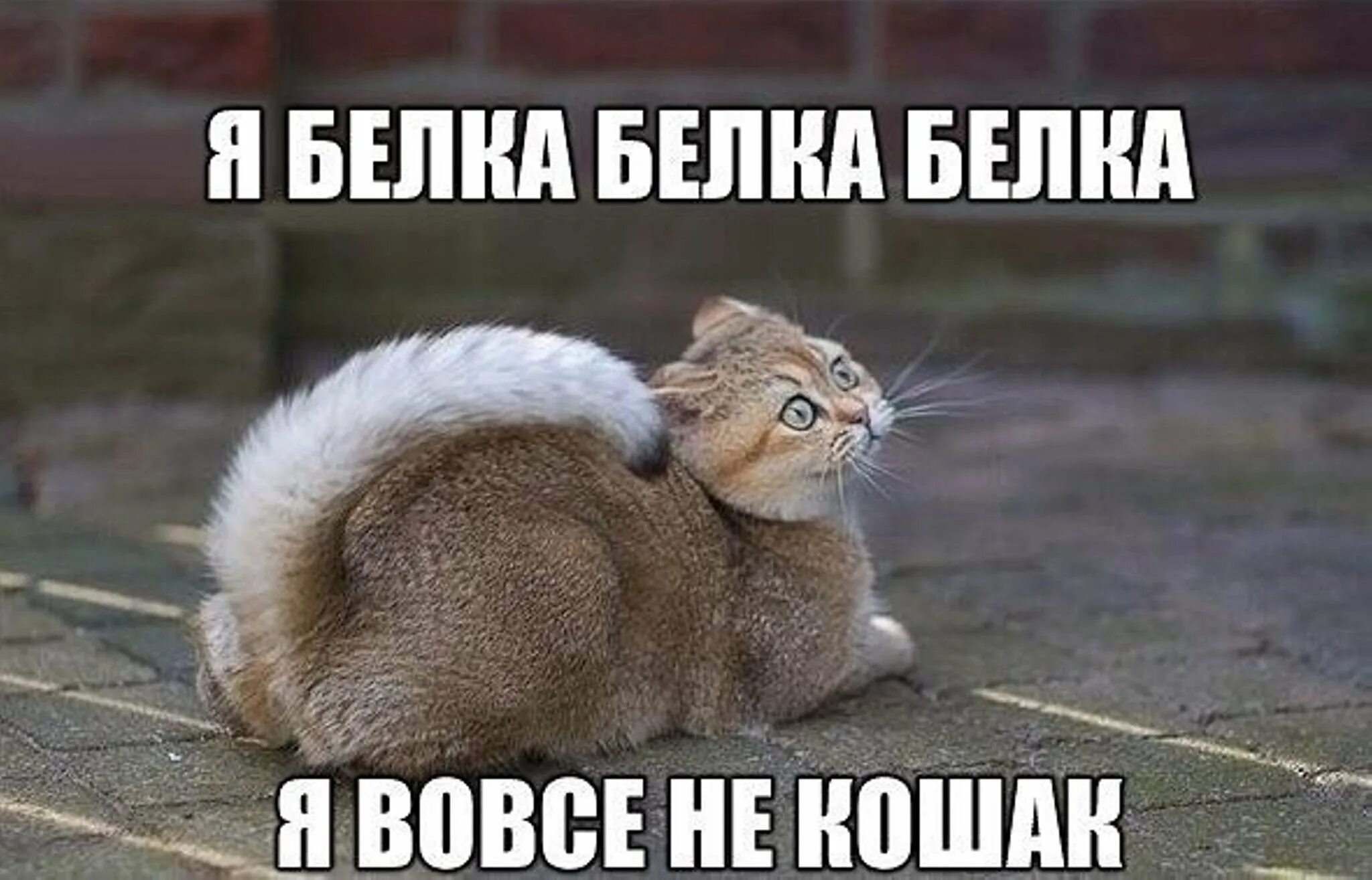 Спасибо куда деваться