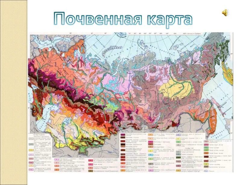 Лучшие почвы россии. Горные почвы России на карте. Карта почв России атлас. Карта почвы России 8 класс география. Почвенная карта России 8 класс география.