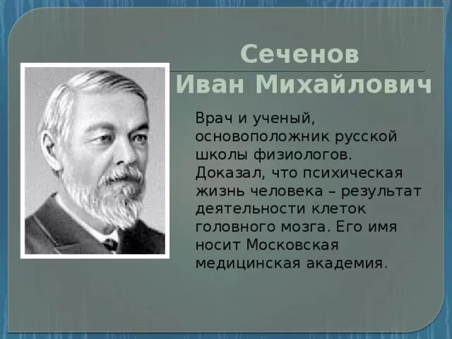 Сеченов и м развитие физиологии. Сеченов иван михайлович ученый. сеченов врач и ученый основоположник. достижения ивана михайловича сеченова. иван михайлович сеченов вклад в биологию.