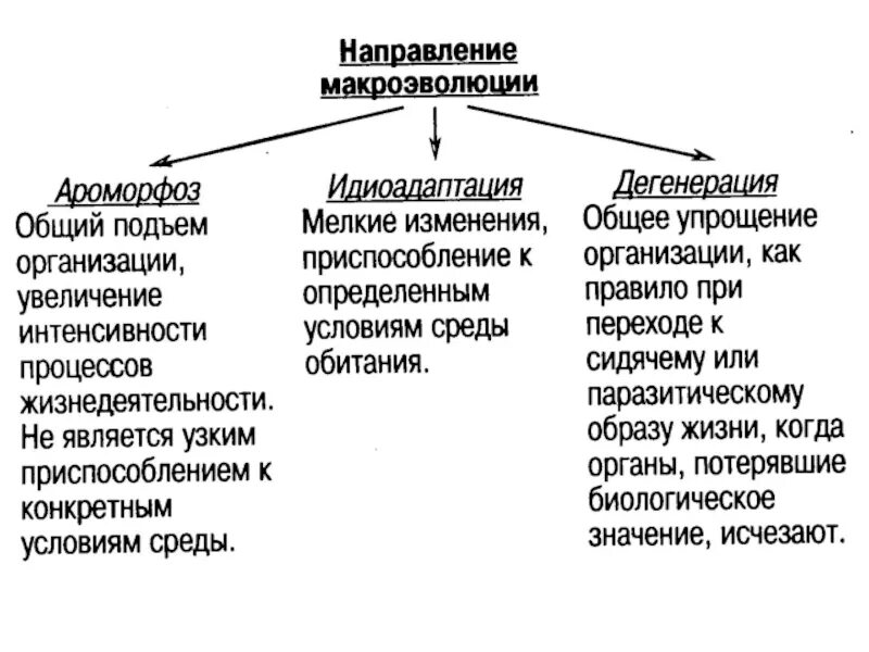 Ароморфоз адаптация. Направление эволюции ароморфоз идиоадаптация дегенерация таблица. Ароморфоз идиоадаптация общая дегенерация кратко. Ароморфоз 2) идиоадаптация 3) общая дегенерация. Ароморфоз идиоадаптация дегенерация определение.