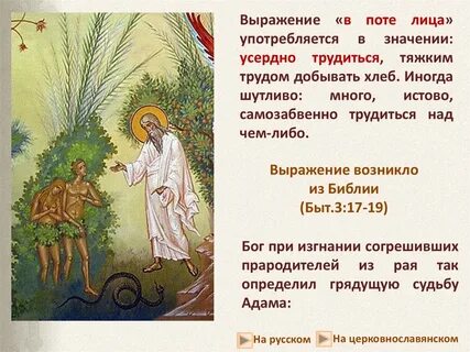 В поте лица твоего будешь есть хлеб