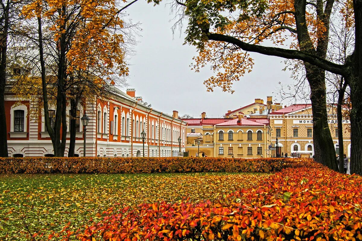 27 октября в санкт петербурге. Спбгу царское село. осень в санкт-петербурге институт. петербург осенью. золотая осень в питере.