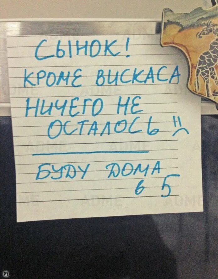 Смешные Записки. Забавные Записки. Прикольные Записки от мамы. Прикольные записочки. Записки мамы детям