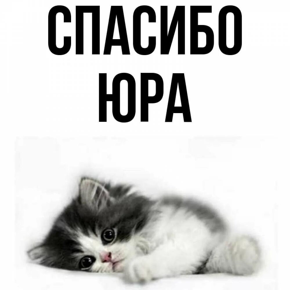 Спасибо юре. Спасибо юре