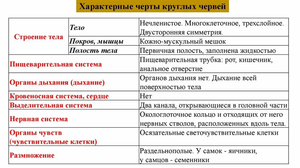 Тип круглые черви общая характеристика 7 класс таблица. Таблица. Тип круглые черви система и строение. Особенности внутреннего строения круглых червей таблица. Тип круглые черви признаки характеристика. 1 признаки характерные для круглых червей