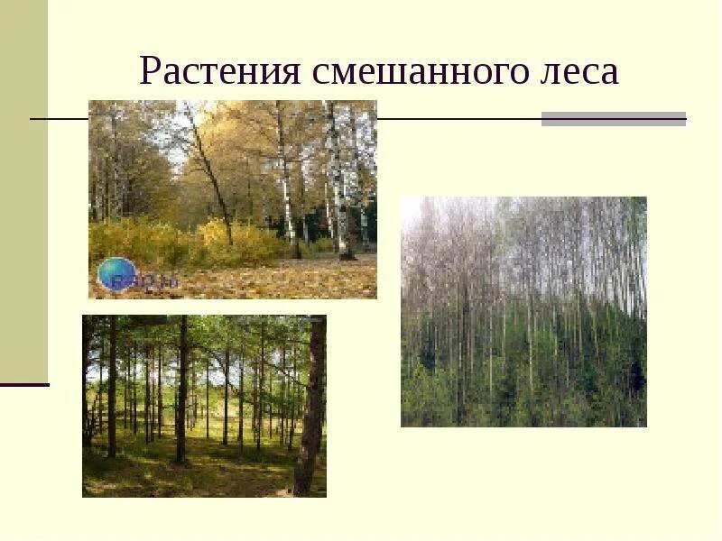 Широколиственный лес - купить по низкой цене на Яндекс Маркете