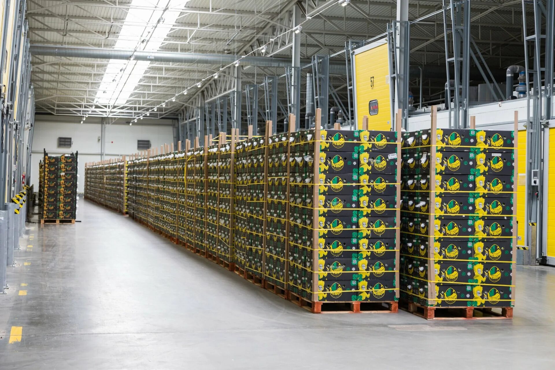 Камеры газации фруктов. Камера дозревания фруктов. Камера газации бананов. Камера газации бананов. Склад бананов.