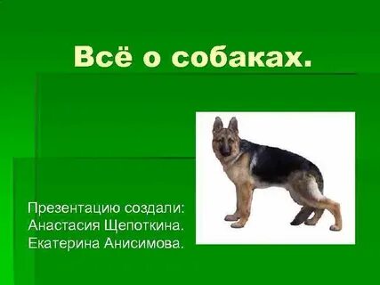 Презентация на свободную тему