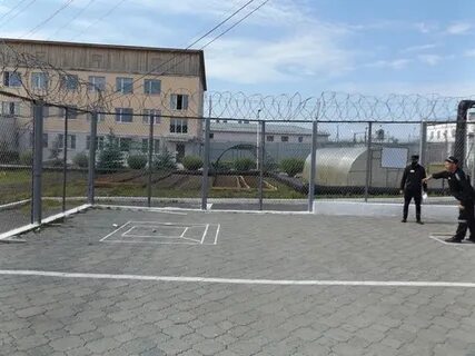 Ик 53