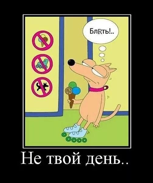 Мем собака на роликах с мороженым Кирилл Реутович