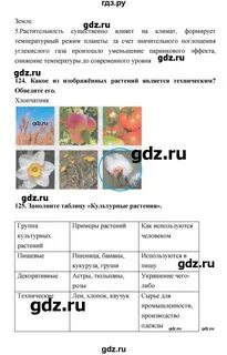 Параграф 18 биология 5 класс