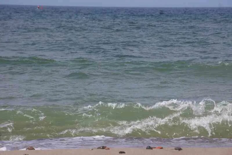 Вода в море янтарный калининградская. Калининградская область море. янтарное море. море в калининграде в августе. морской пляж.