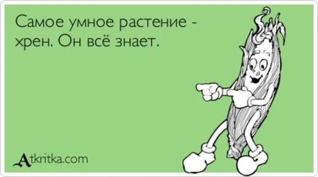Хрен цитаты. Хрен знает. самое умное растение. хрен самое умное растение. хрен прикол.