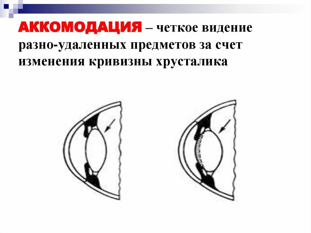 Бесконечность бытия. Наилучшее видение предметов. Виртуальная реальность философия. Аккомодация глаза состояние покоя аккомодации. Наилучшее видение предметов.