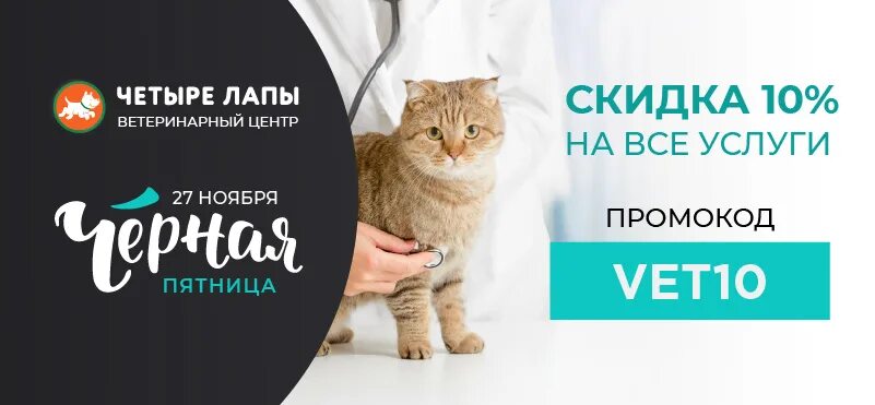 Четыре лапы скидка. Промокоды 4 лапы. Промокод для 4 лапы магазин. 4 Лапы скидки. Четыре лапы интернет магазин Иваново.