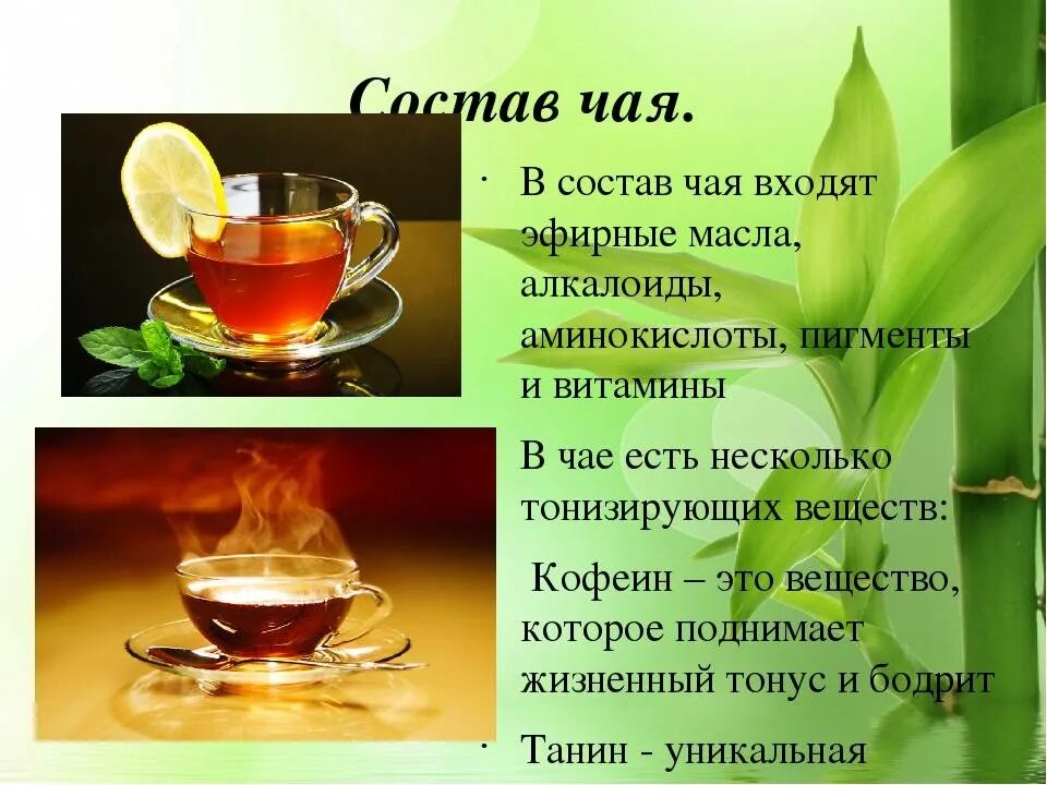 Чай напиток виды. Чай и чайные напитки. Вещества в чае. Состав чая. Полезные вещества в чае.