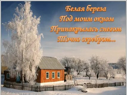 Белая береза село