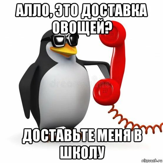 Алло что означает. Алло Мем. Алло это Мем с пингвином. Алло это сосисочная. Але.