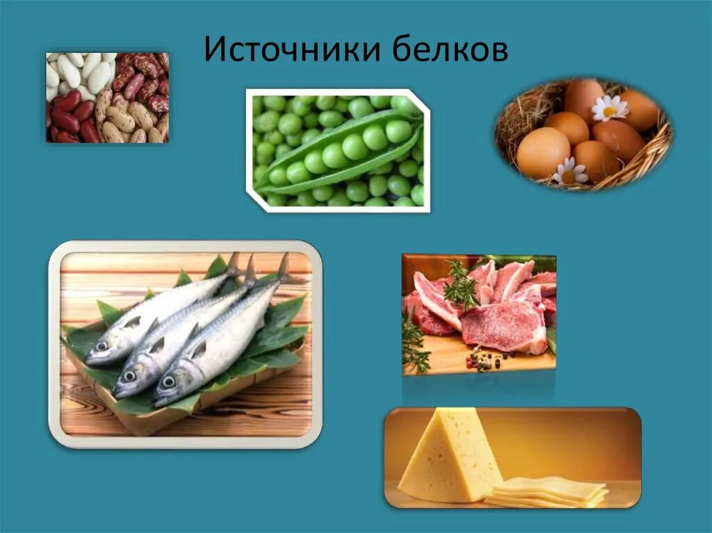 Лучшие источники белков. Источники белка. Источники белка в продуктах. Пищевые продукты источники белка. Основные источники белков.