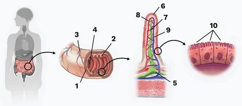 Мәжбүрлеп үйдегі порно