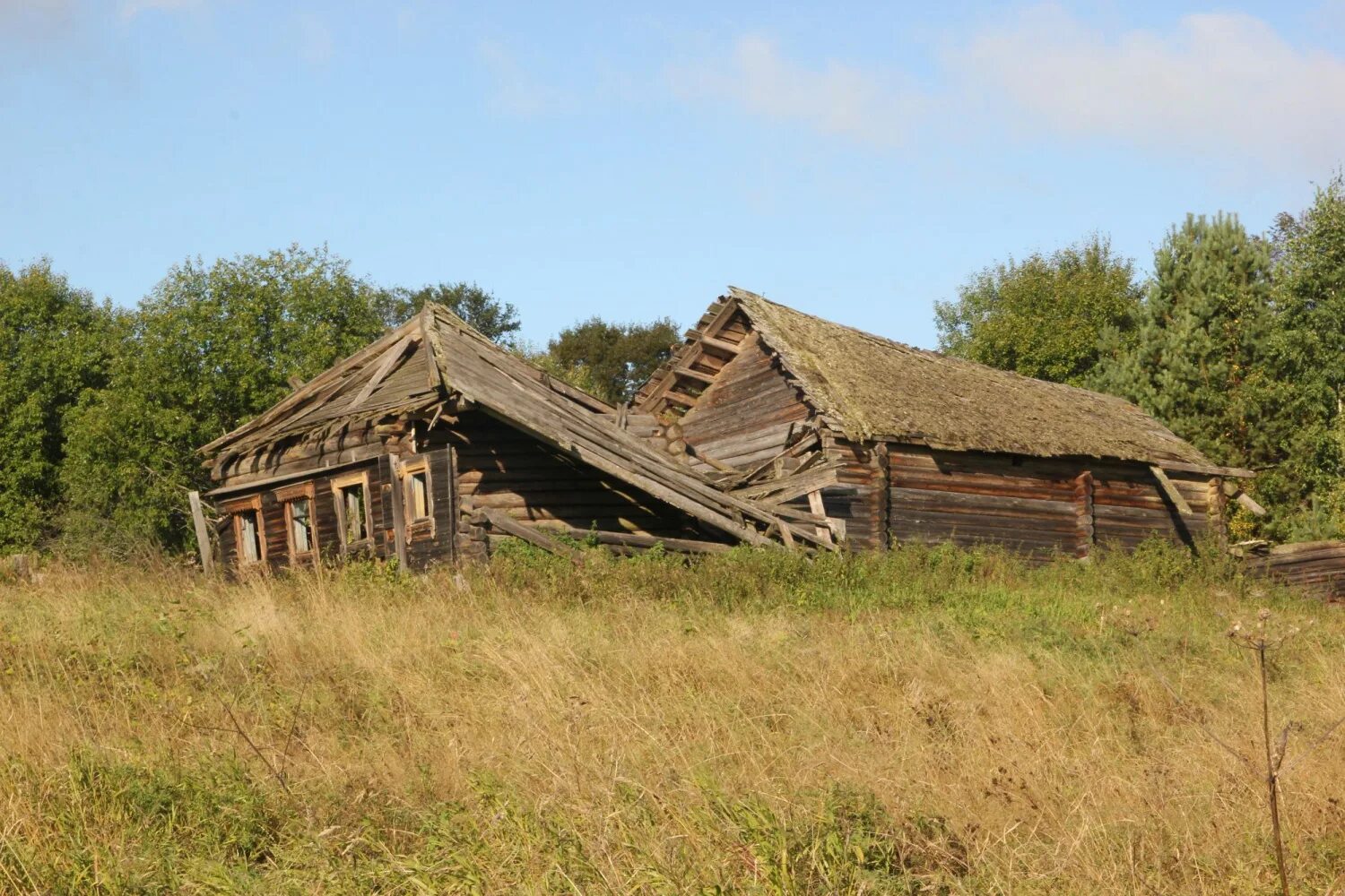 Деревня павлово. Деревня павлово ярославская область гаврилоямский район. Деревня павлово. Деревня павлово. Деревня бугры ярославская область совхоз знаменский.