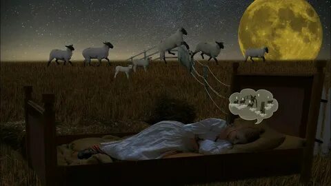Побеждает ночная