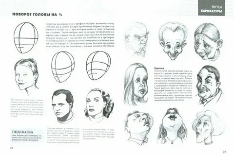 Как рисовать шаржи поэтапно