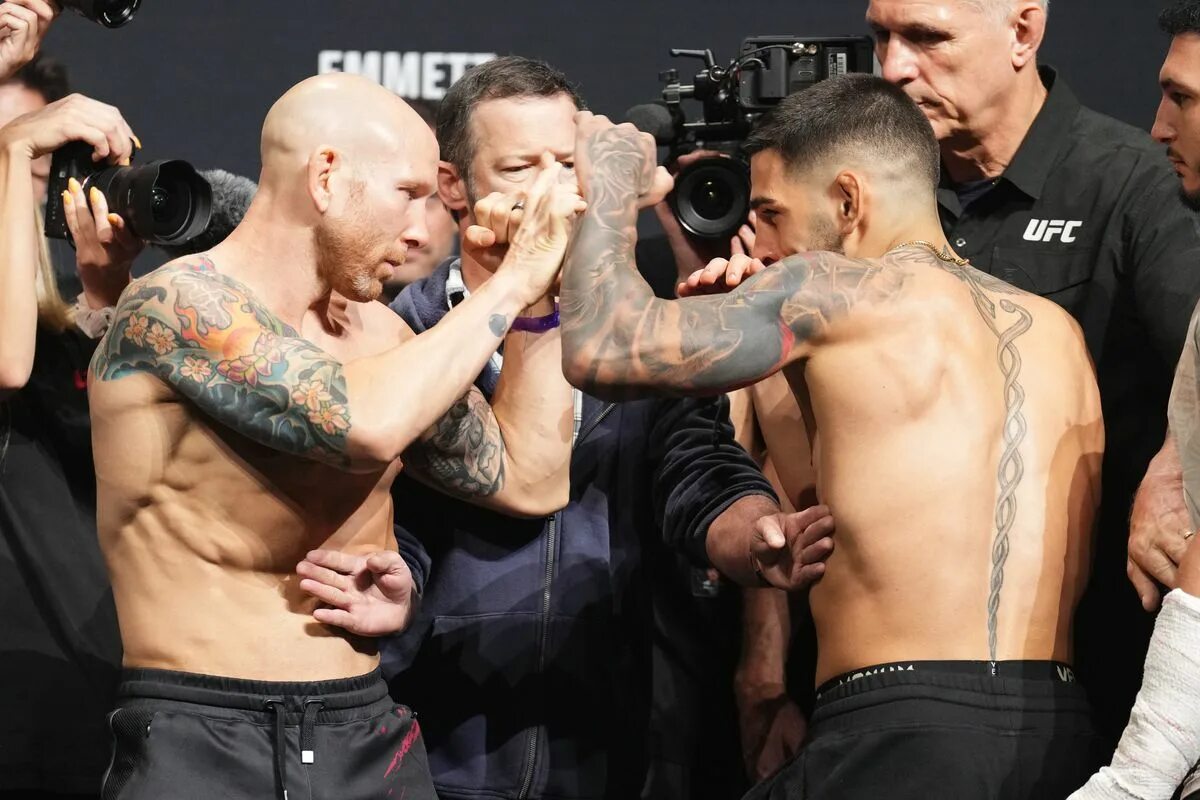Бои ufc трансляции