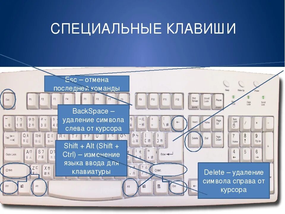 Части клавиатуры. Клавиши на клавиатуре. Клавиатура компьютера. Клавиатура кнопки. Почему при нажатии выделяется