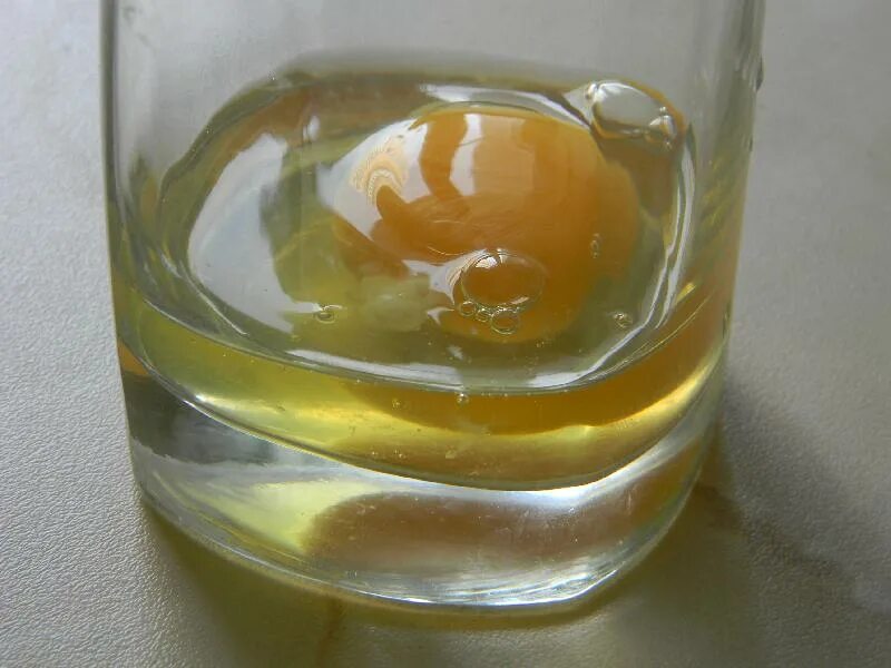 Яйцо в стакан воды на ночь. Яйцо в стакане. Разбитое яйцо в стакане с водой. Яйцо в воде. Желток в стакане.