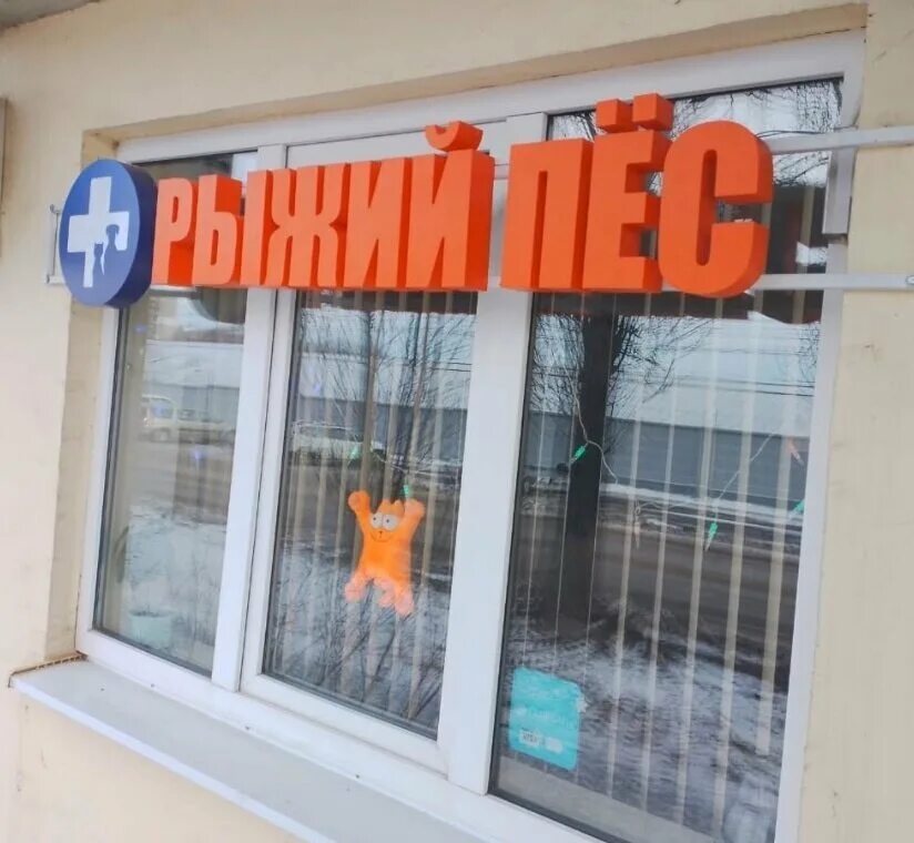 Рыжий пес просп октября 114 1