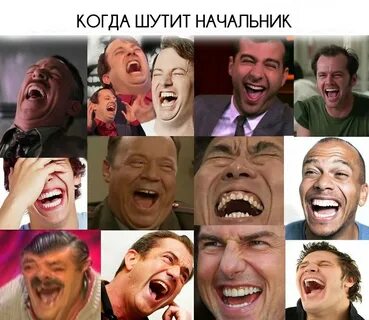 Лупа и пупа спбгу