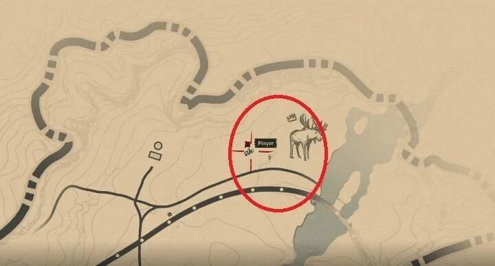 Легендарный олень вапити в рдр 2. Легендарный олень rdr2. Легендарный олень rdr2. Легендарный олень вапити в рдр 2. Карта red dead redemption 2 легендарный лось.