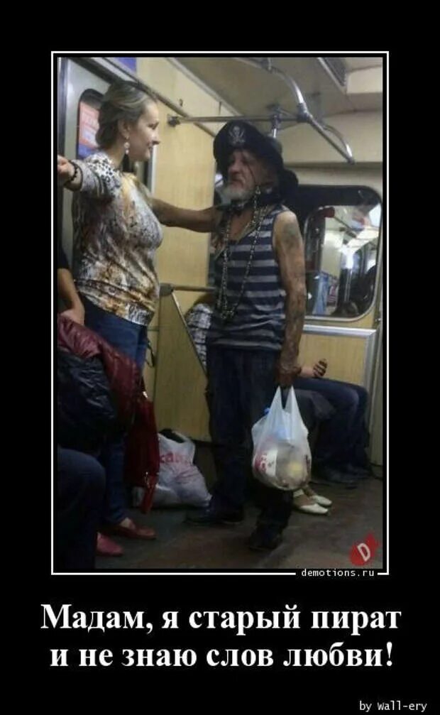 Я старый солдат. Я старый солдат. Я старый солдат и не знаю слов любви цитата полностью. Мадам я старый солдат. Я старый солдат и не знаю слов любви.