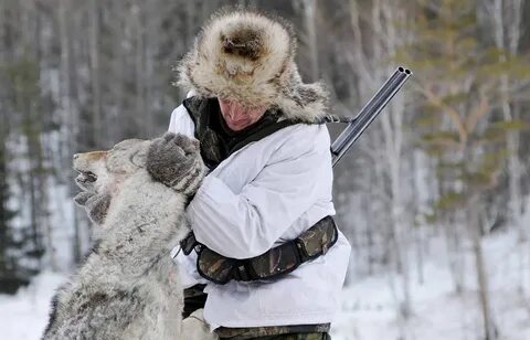 Сколько платят за волка
