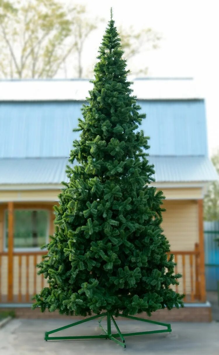 Елка 2 м купить. Green Trees ель Рублевская 3. Green Trees ель Клеопатра 7.5. Green Trees ель Рублевская 6. Green Trees ель Клеопатра 6.5.