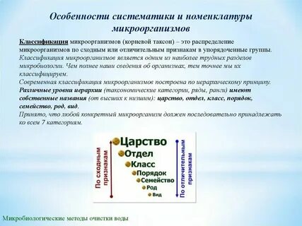 Принцип таксономии