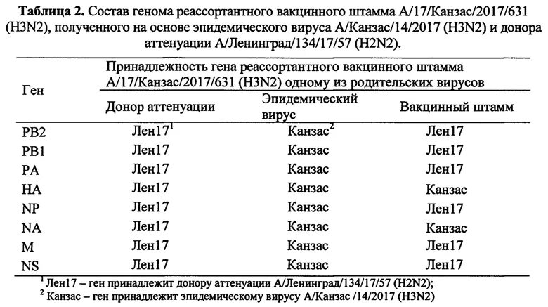 Таблица штаммов коронавируса по годам. Штамм вируса. Коронавирусы штаммы. Таблица всех штаммов коронавируса.