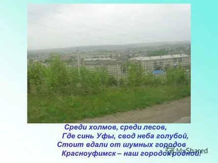 Среди холмов